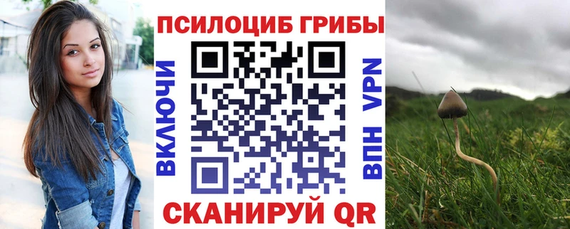 Галлюциногенные грибы MAGIC MUSHROOMS  сколько стоит  Валдай 